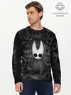 Мужской лонгслив базовый / Hollow Knight (P007_P004ooo1808813, P004ooo1808813)
