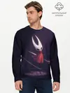 Мужской лонгслив базовый / Hollow Knight (P007_P004ooo1808823, P004ooo1808823)