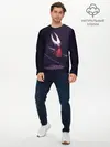 Мужской лонгслив базовый / Hollow Knight (P007_P004ooo1808823, P004ooo1808823)