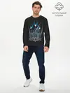 Мужской лонгслив базовый / Hollow Knight (P007_P004ooo1809445, P004ooo1809445)