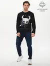 Мужской лонгслив базовый / Hollow Knight (P007_P004ooo1808833, P004ooo1808833)