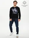Мужской лонгслив базовый / Hollow Knight (P007_P004ooo1808867, P004ooo1808867)