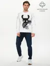Мужской лонгслив базовый / Hollow Knight (P007_P004ooo1808825, P004ooo1808825)