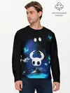 Мужской лонгслив базовый / Hollow Knight (P007_P004ooo1809829, P004ooo1809829)