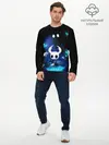 Мужской лонгслив базовый / Hollow Knight (P007_P004ooo1809829, P004ooo1809829)