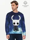 Мужской лонгслив базовый / Рыцарь - HOLLOW KNIGHT (P007_P004ooo1811595, P004ooo1811595)