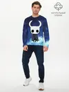 Мужской лонгслив базовый / Рыцарь - HOLLOW KNIGHT (P007_P004ooo1811595, P004ooo1811595)