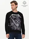 Мужской лонгслив базовый / Metallica (P007_P004ooo1817545, P004ooo1817545)