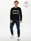 Мужской лонгслив базовый / Metallica (P007_P004ooo1816689, P004ooo1816689)