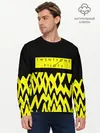 Мужской лонгслив базовый / Twenty One Pilots 12 (P007_P004ooo1817779, P004ooo1817779)