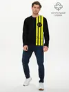 Мужской лонгслив базовый / Twenty One Pilots 18 (P007_P004ooo1817791, P004ooo1817791)