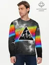 Мужской лонгслив базовый / PINK FLOYD (P007_P004ooo1820991, P004ooo1820991)