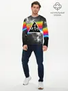 Мужской лонгслив базовый / PINK FLOYD (P007_P004ooo1820991, P004ooo1820991)