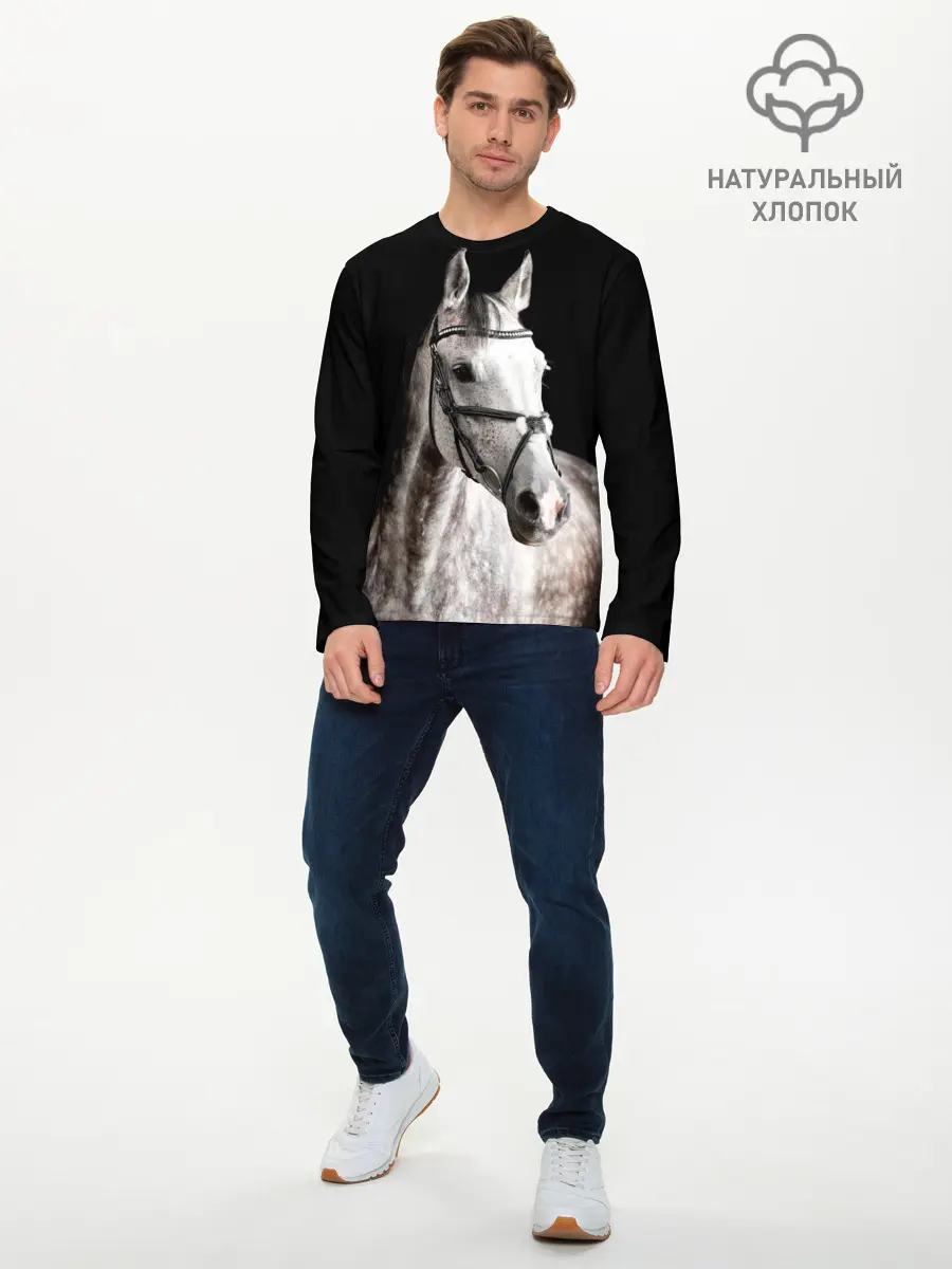 Мужской лонгслив базовый / Серный в яблоках конь (P007_P004ooo1829335, P004ooo1829335)