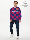 Мужской лонгслив базовый / Гризманн домашняя 2020 (P007_P004ooo1849621, P004ooo1849621)
