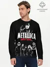 Мужской лонгслив базовый / Metallica Группа крови (P007_P004ooo1858841, P004ooo1858841)