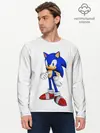 Мужской лонгслив базовый / Sonic (P007_P004ooo1865901, P004ooo1865901)