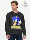 Мужской лонгслив базовый / Sonic (P007_P004ooo1865915, P004ooo1865915)