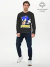 Мужской лонгслив базовый / Sonic (P007_P004ooo1865915, P004ooo1865915)