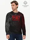 Мужской лонгслив базовый / PUBG (P007_P004ooo1871177, P004ooo1871177)