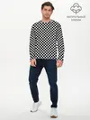 Мужской лонгслив базовый / Checkerboard Color (P007_P004ooo1882347, P004ooo1882347)