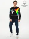Мужской лонгслив базовый / PINK FLOYD (P007_P004ooo1893427, P004ooo1893427)