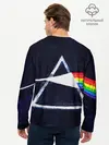 Мужской лонгслив базовый / PINK FLOYD (P007_P004ooo1893395, P004ooo1893395)