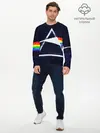 Мужской лонгслив базовый / PINK FLOYD (P007_P004ooo1893395, P004ooo1893395)