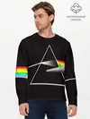 Мужской лонгслив базовый / PINK FLOYD (P007_P004ooo1893399, P004ooo1893399)