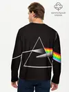 Мужской лонгслив базовый / PINK FLOYD (P007_P004ooo1893399, P004ooo1893399)