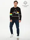 Мужской лонгслив базовый / PINK FLOYD (P007_P004ooo1893399, P004ooo1893399)