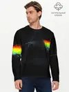 Мужской лонгслив базовый / PINK FLOYD (P007_P004ooo1893401, P004ooo1893401)