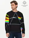 Мужской лонгслив базовый / PINK FLOYD (P007_P004ooo1893415, P004ooo1893415)