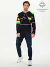 Мужской лонгслив базовый / PINK FLOYD (P007_P004ooo1893415, P004ooo1893415)
