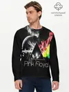 Мужской лонгслив базовый / PINK FLOYD (P007_P004ooo1893433, P004ooo1893433)