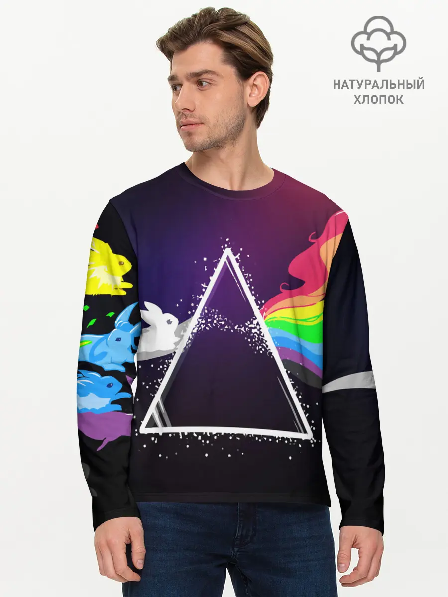 Мужской лонгслив базовый / PINK FLOYD (P007_P004ooo1893437, P004ooo1893437)