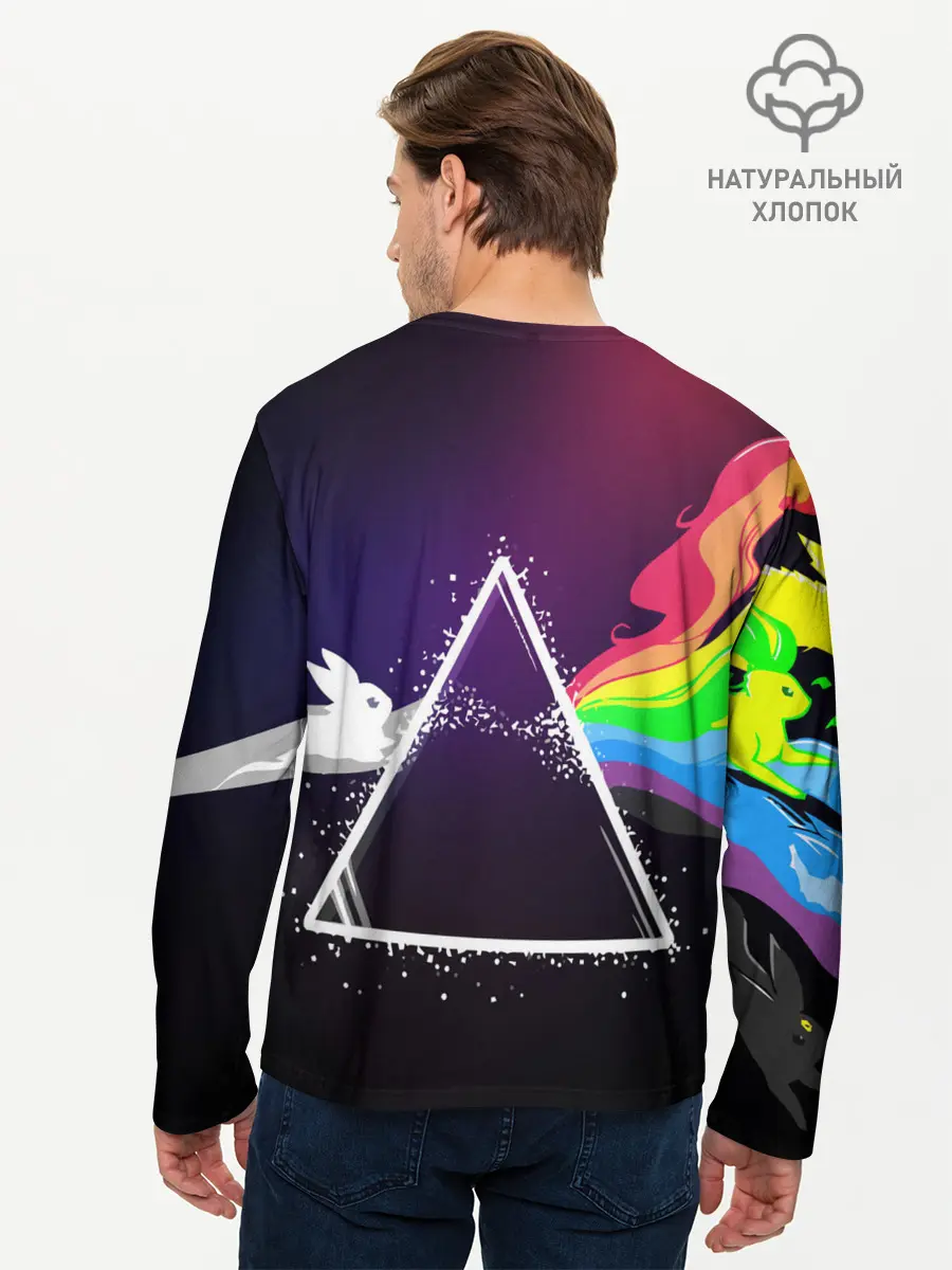 Мужской лонгслив базовый / PINK FLOYD (P007_P004ooo1893437, P004ooo1893437)