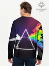 Мужской лонгслив базовый / PINK FLOYD (P007_P004ooo1893437, P004ooo1893437)