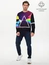 Мужской лонгслив базовый / PINK FLOYD (P007_P004ooo1893437, P004ooo1893437)