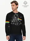 Мужской лонгслив базовый / PINK FLOYD (P007_P004ooo1893783, P004ooo1893783)