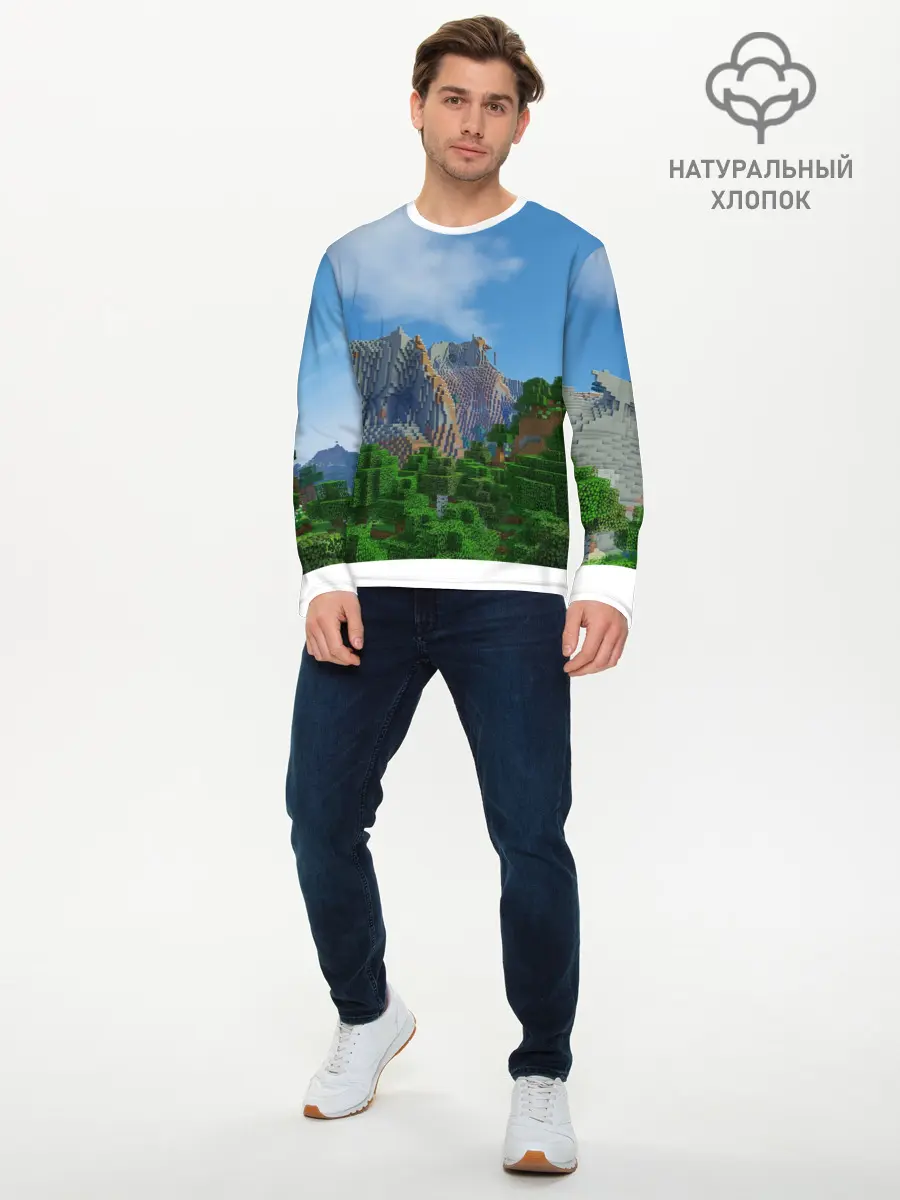 Мужской лонгслив базовый / Minecraft (P007_P004ooo1912813, P004ooo1912813)
