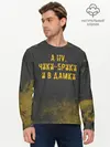 Мужской лонгслив базовый / А НУ, ЧИКИ - БРИКИ И В ДАМКИ (P007_P004ooo1931681, P004ooo1931681)