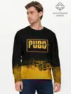 Мужской лонгслив базовый / PUBG. (P007_P004ooo1943277, P004ooo1943277)