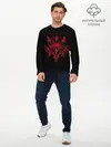 Мужской лонгслив базовый / BABYMETAL (P007_P004ooo1950743, P004ooo1950743)