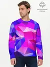 Мужской лонгслив базовый / NEON POLYGON (P007_P004ooo1955545, P004ooo1955545)
