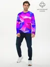 Мужской лонгслив базовый / NEON POLYGON (P007_P004ooo1955545, P004ooo1955545)
