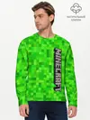 Мужской лонгслив базовый / MINECRAFT (P007_P004ooo1956485, P004ooo1956485)