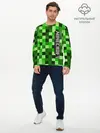 Мужской лонгслив базовый / MINECRAFT (P007_P004ooo1956489, P004ooo1956489)