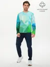 Мужской лонгслив базовый / GEOMETRY (P007_P004ooo1959411, P004ooo1959411)