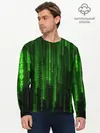 Мужской лонгслив базовый / Компьютерный язык (P007_P004ooo1964745, P004ooo1964745)